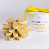 Flor de Chocolate - Suculenta Castanha de Caju 350g
