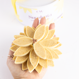 Flor de Chocolate - Suculenta Castanha de Caju 350g
